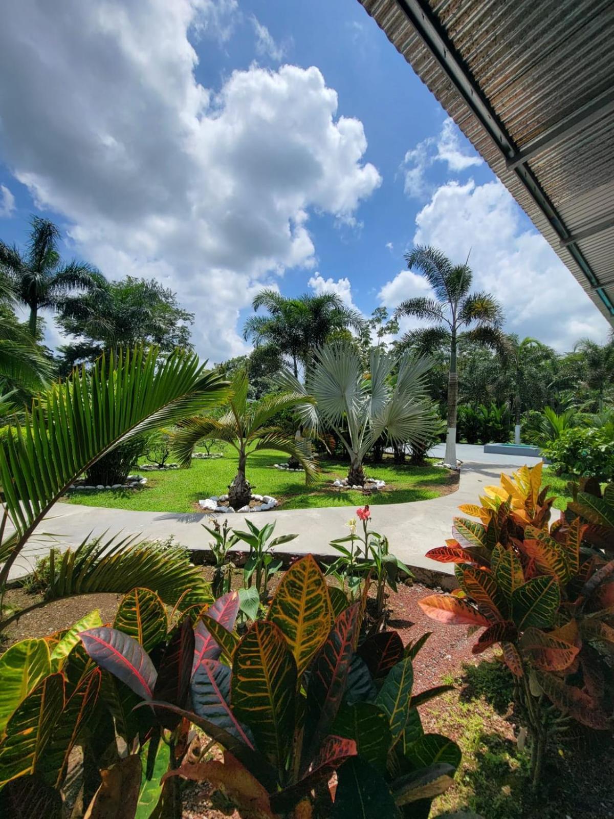 Hotel Campestre Arenal La Fortuna Ngoại thất bức ảnh