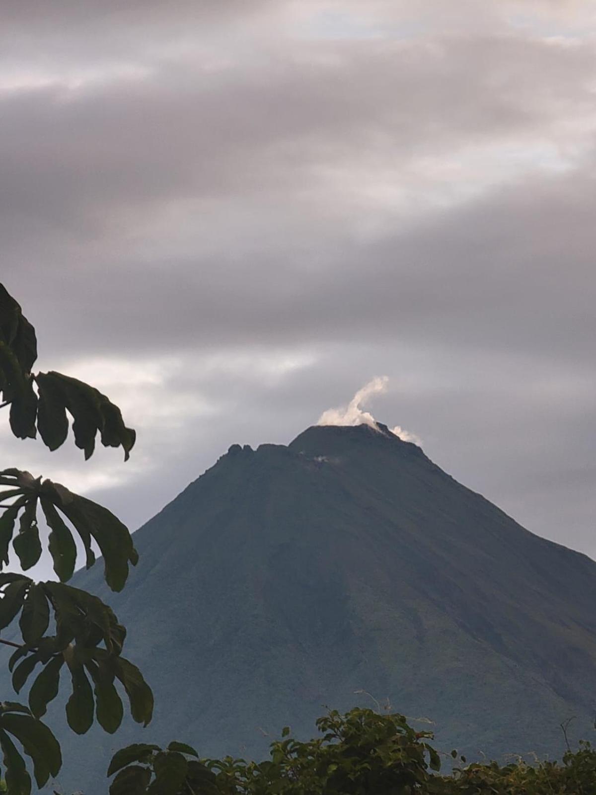 Hotel Campestre Arenal La Fortuna Ngoại thất bức ảnh