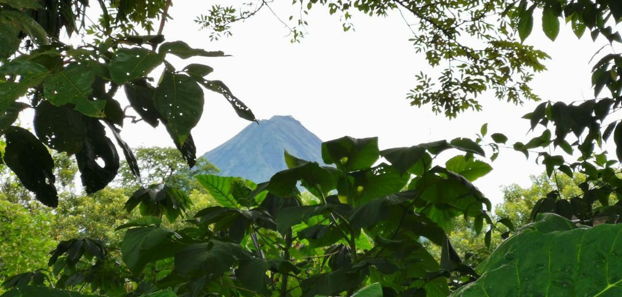 Hotel Campestre Arenal La Fortuna Ngoại thất bức ảnh
