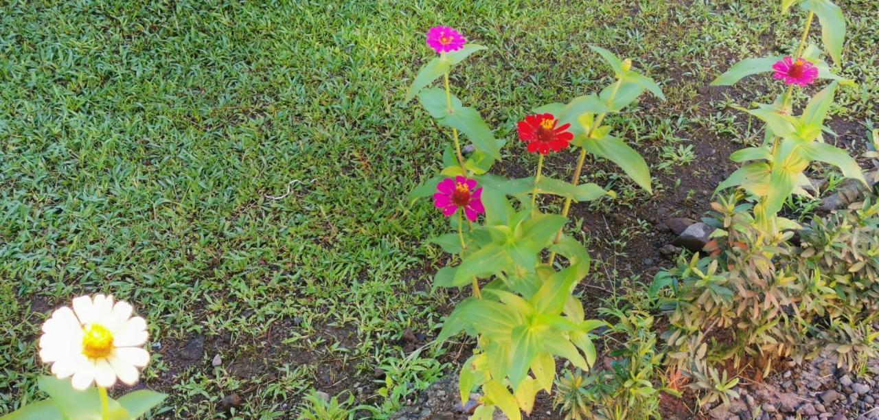 Hotel Campestre Arenal La Fortuna Ngoại thất bức ảnh
